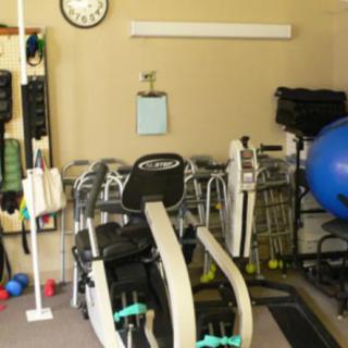 A well-equipped home gym featuring fitness machines and balance balls.