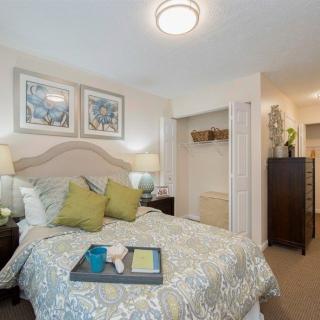 A cozy, modern bedroom with elegant decor and comfortable bedding.