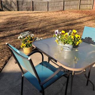 A sunny patio setup with a glass table adorned with potted flowers and surrounded by blue chairs.