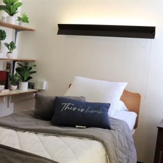 A cozy bedroom setup with a neatly made bed, decorative pillows, and shelves adorned with plants.