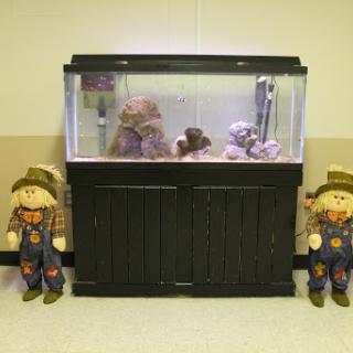 An aquarium setup surrounded by decorative scarecrow figures.