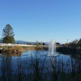 A serene pond featuring a fountain, surrounded by lush greenery and under a clear blue sky.