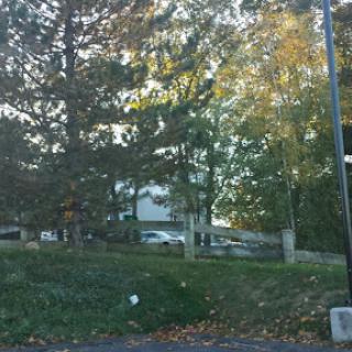 A serene autumn scene featuring trees and a building in the background.