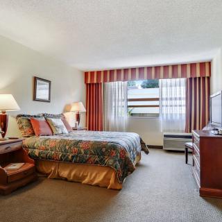 A well-furnished hotel room featuring a double bed with decorative pillows and curtains, complemented by tasteful furniture.