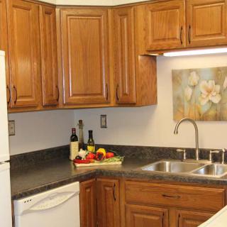 A modern kitchen with wooden cabinets, a sink, and decorative elements on the countertop.