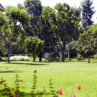 A scenic view of a park with lush green grass and tall trees under a clear sky.