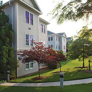 A serene residential area with apartment buildings surrounded by lush greenery and well-maintained landscaping.