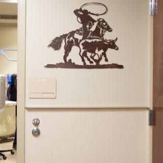 A decorative wall art featuring a cowboy roping cattle, positioned above a door.