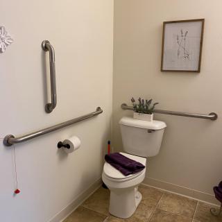 An accessible bathroom with grab bars, featuring a toilet with a purple towel, wall art, and a small plant on the tank.