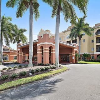 A tropical building entrance surrounded by palm trees and a landscaped driveway.