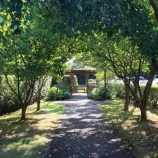 A shaded walkway surrounded by lush trees in a peaceful garden.