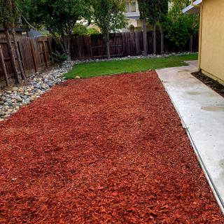 A landscaped backyard with newly laid mulch and a stone pathway.