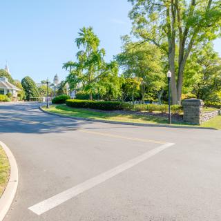 A quiet road surrounded by lush greenery on a sunny day.
