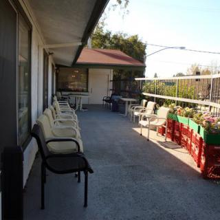 A sunny patio with rows of chairs and plants lining the fence.