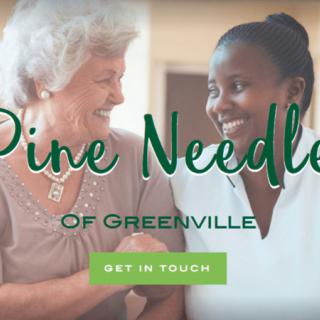 Caring companionship at Pine Needle of Greenville.