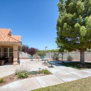 A sunny backyard with a patio area and a large tree.