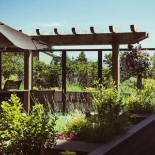 A beautiful garden with a wooden pergola and lush greenery.