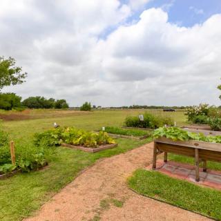 A scenic garden with a dirt pathway surrounded by lush greenery and vegetable beds under a cloudy sky.