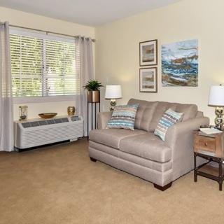 A cozy living room with a sofa and decorative elements.
