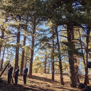 A serene moment in a forest with individuals surrounded by tall pine trees.