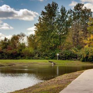 A peaceful park scene with a calm lake surrounded by trees and a clear sky.