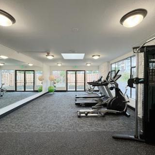A modern gym equipped with various exercise machines and ample natural light.