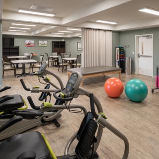 A well-equipped gym featuring elliptical machines and fitness balls.