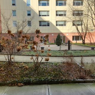 A view of a landscaped area with shrubs and trees in front of an apartment building.