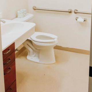 An accessible bathroom with a toilet, sink, and grab bars.
