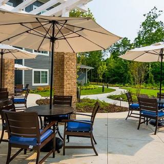 A serene patio with tables, chairs, and umbrellas set amidst lush greenery on a sunny day.