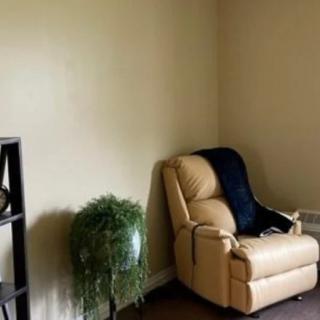 A cozy corner with a beige recliner, a plant, and a black shelf in a living room.