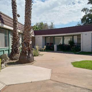 A serene courtyard featuring palm trees and green grass, surrounded by buildings under a sunny sky.