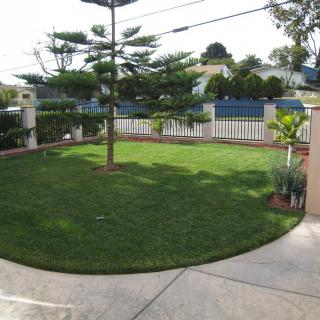 A well-maintained garden with a green lawn, tree, and white fence.