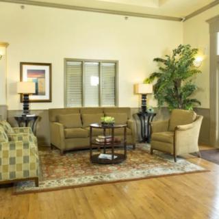 A cozy living room with a sofa, chairs, coffee table, and indoor plant.