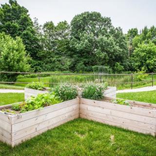 A lush garden featuring wooden raised beds filled with various plants.