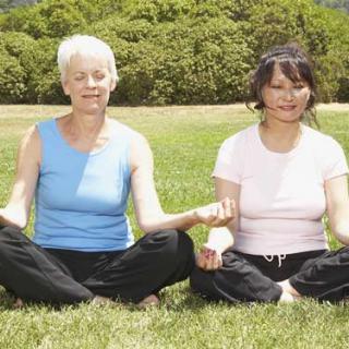 Two people meditating in a park on a sunny day.