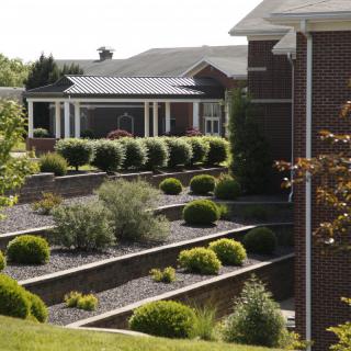 Terraced landscaping with neatly trimmed shrubs and a modern building in the background.
