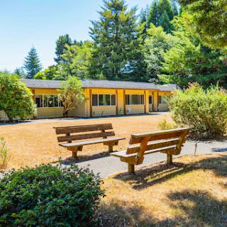A serene outdoor setting featuring benches, lush greenery, and a building under a clear blue sky.