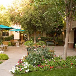 A serene garden with outdoor seating and vibrant flowers.