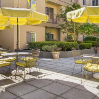 A sunny outdoor patio with yellow umbrellas, chairs, and tables, surrounded by garden plants and buildings.