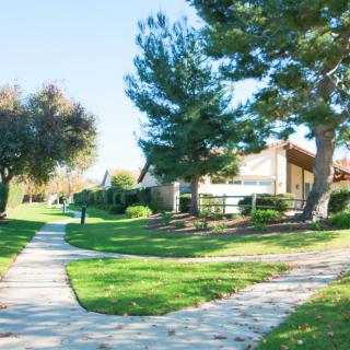 A serene suburban neighborhood with a winding pathway surrounded by lush greenery and trees.