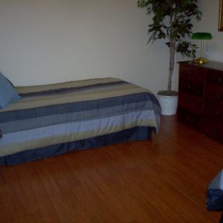 A minimalist bedroom with a single bed, dresser, and a potted plant on hardwood flooring.
