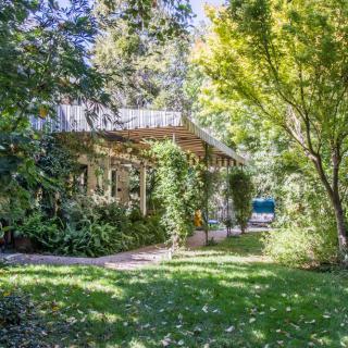 A serene garden with abundant greenery and sunlight filtering through the trees.