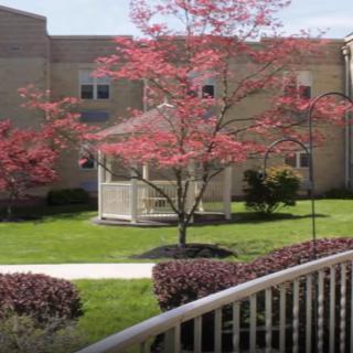 A quaint gazebo surrounded by red-leaved trees and lush greenery in front of a building.