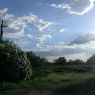 A serene landscape with lush greenery under a partly cloudy sky.