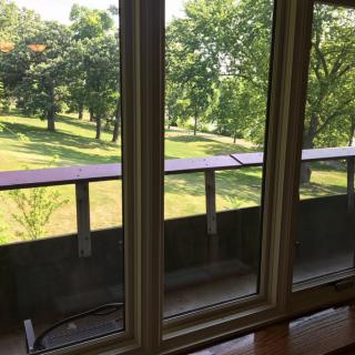 A serene view from a window overlooking a park filled with lush green trees.
