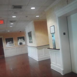 A well-lit hallway featuring artwork along the walls and an elevator at the end.