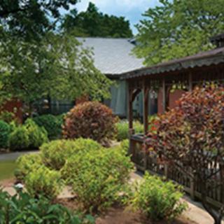 A serene garden landscape with lush greenery and a wooden structure.