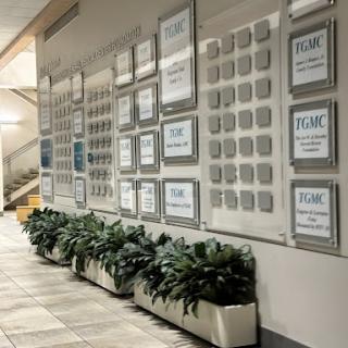 A contemporary wall display featuring framed information and indoor plants.