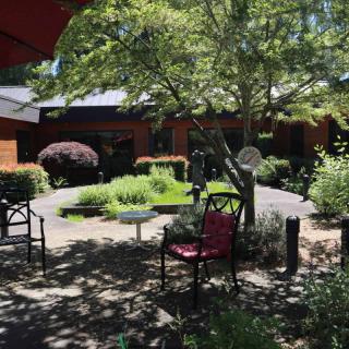 A tranquil outdoor garden area with chairs under the shade of trees.